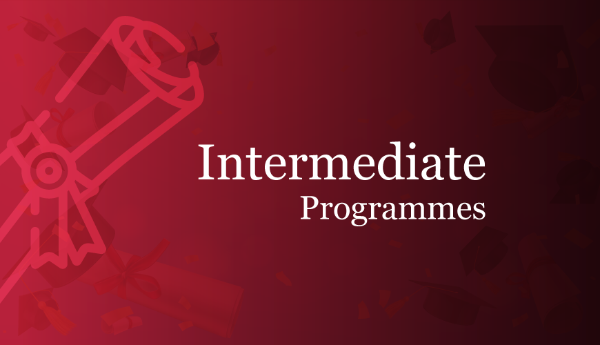 Intermediate Programmes